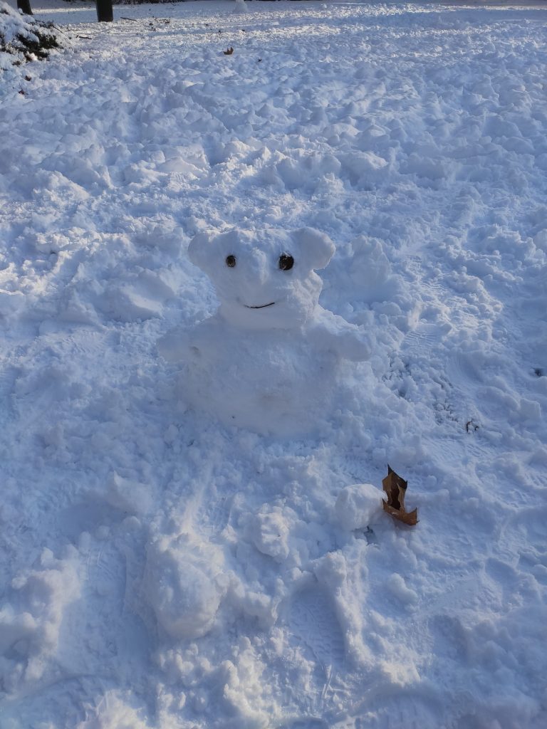 Zeni the Snowman
