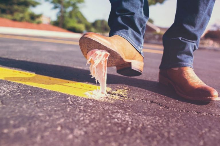 Common Mistakes Of WordPress Beginners