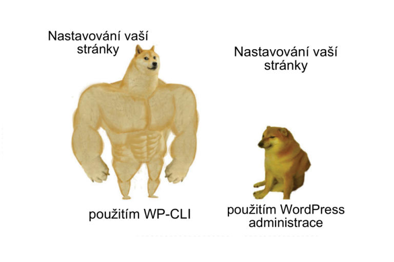 WP-CLI – Spravujte weby ve WordPress lépe a rychleji