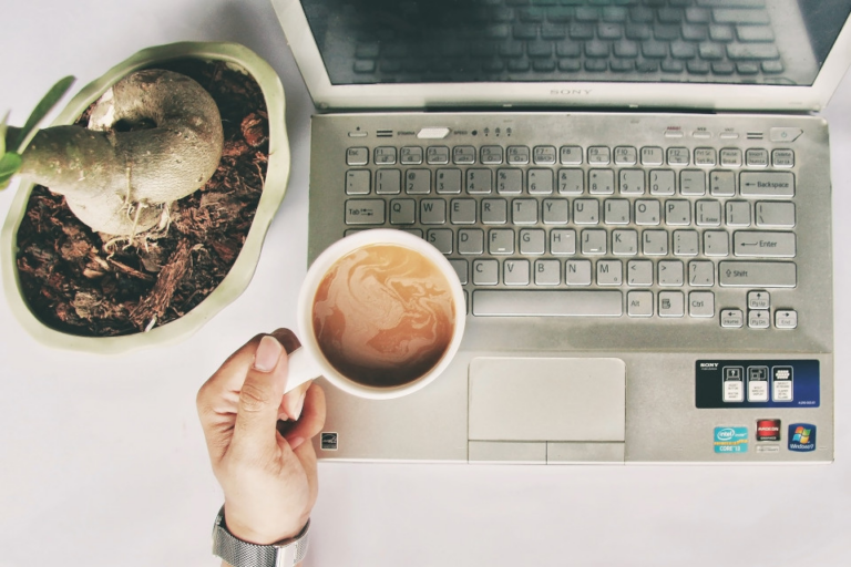 Online prodej na WordPress